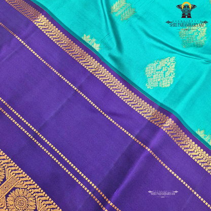 Teal green body Saree