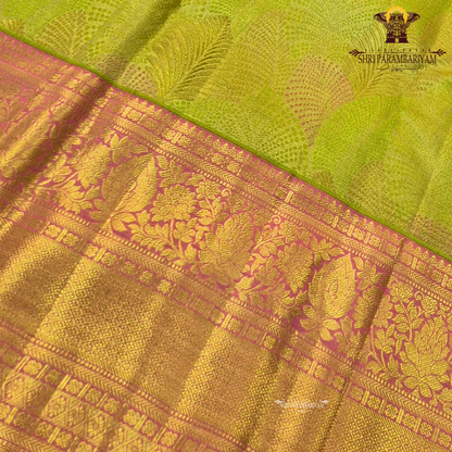 Soft olive green / pista green with Contrast rani pink border Saree