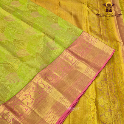 Soft olive green / pista green with Contrast rani pink border Saree