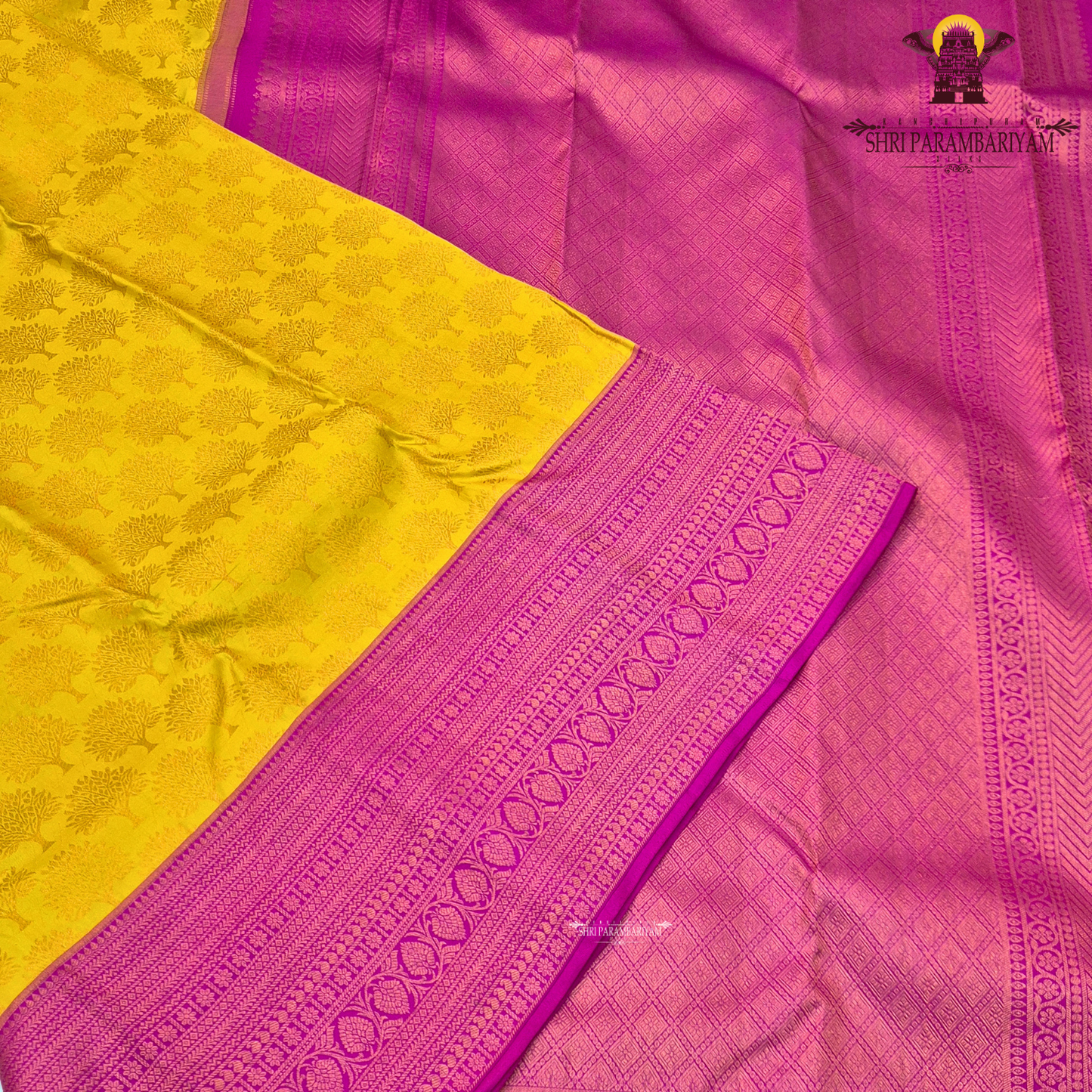 A vibrant mustard yellow (golden yellow) body paired with a rich rani pink (magenta) Korvai border Saree