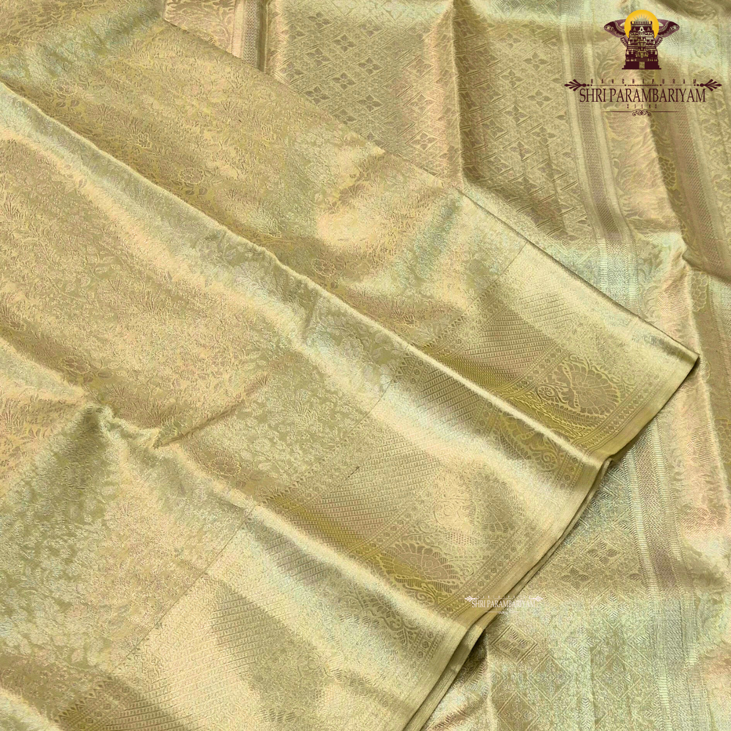 A beautiful light pistachio gold shade that gives a soft and graceful shine Saree