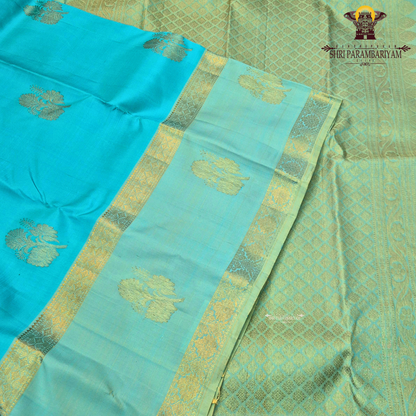 A refreshing dual-tone turquoise blue with pastel mint green Saree