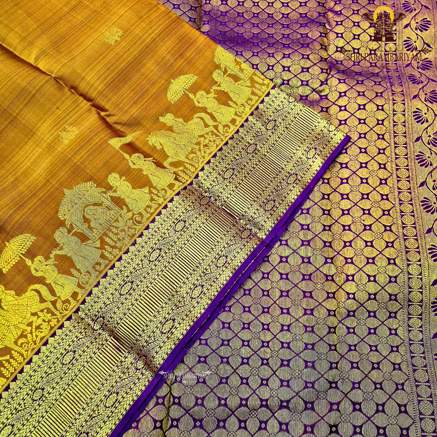 Rich rust orange (burnt orange) body with a contrasting Saree