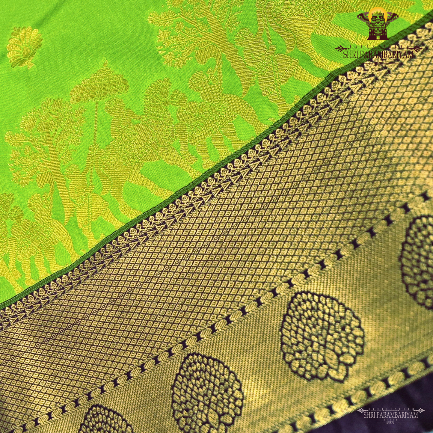 Fresh leaf green Saree