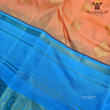 Coral Orange Saree