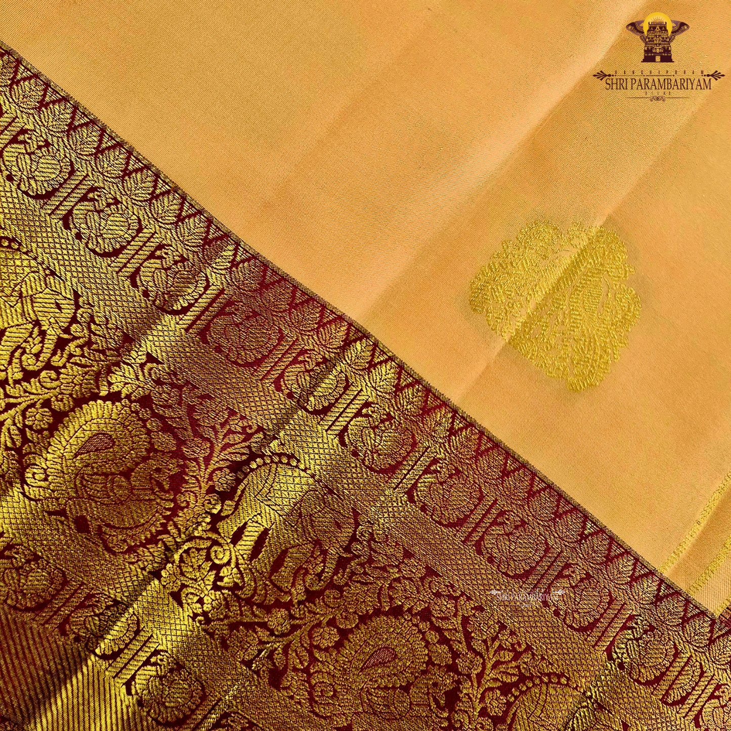 A soft peach gold body adorned with elegant zari Saree
