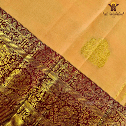 A soft peach gold body adorned with elegant zari Saree