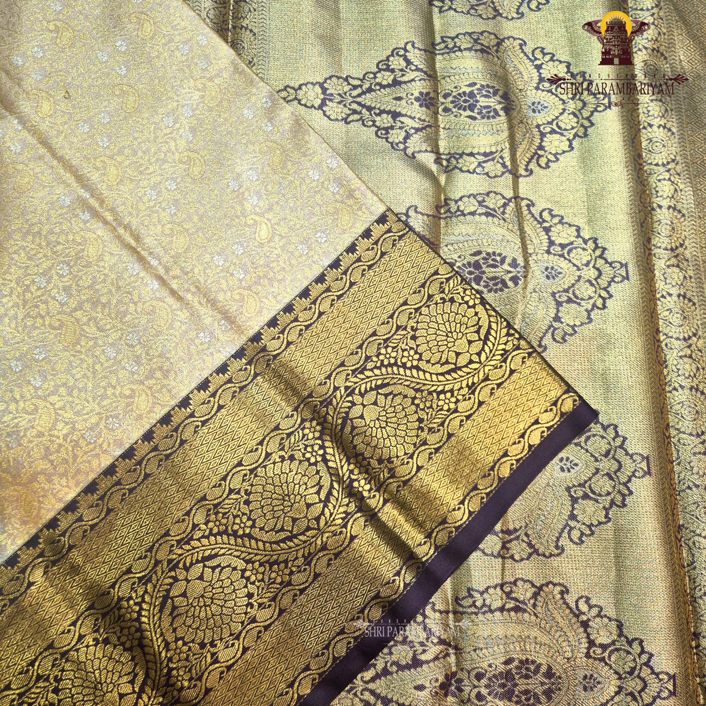 Elegant champagne beige Tissue Saree