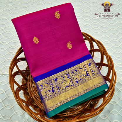 Rani Pink body with Royal Blue border and Green edge Saree