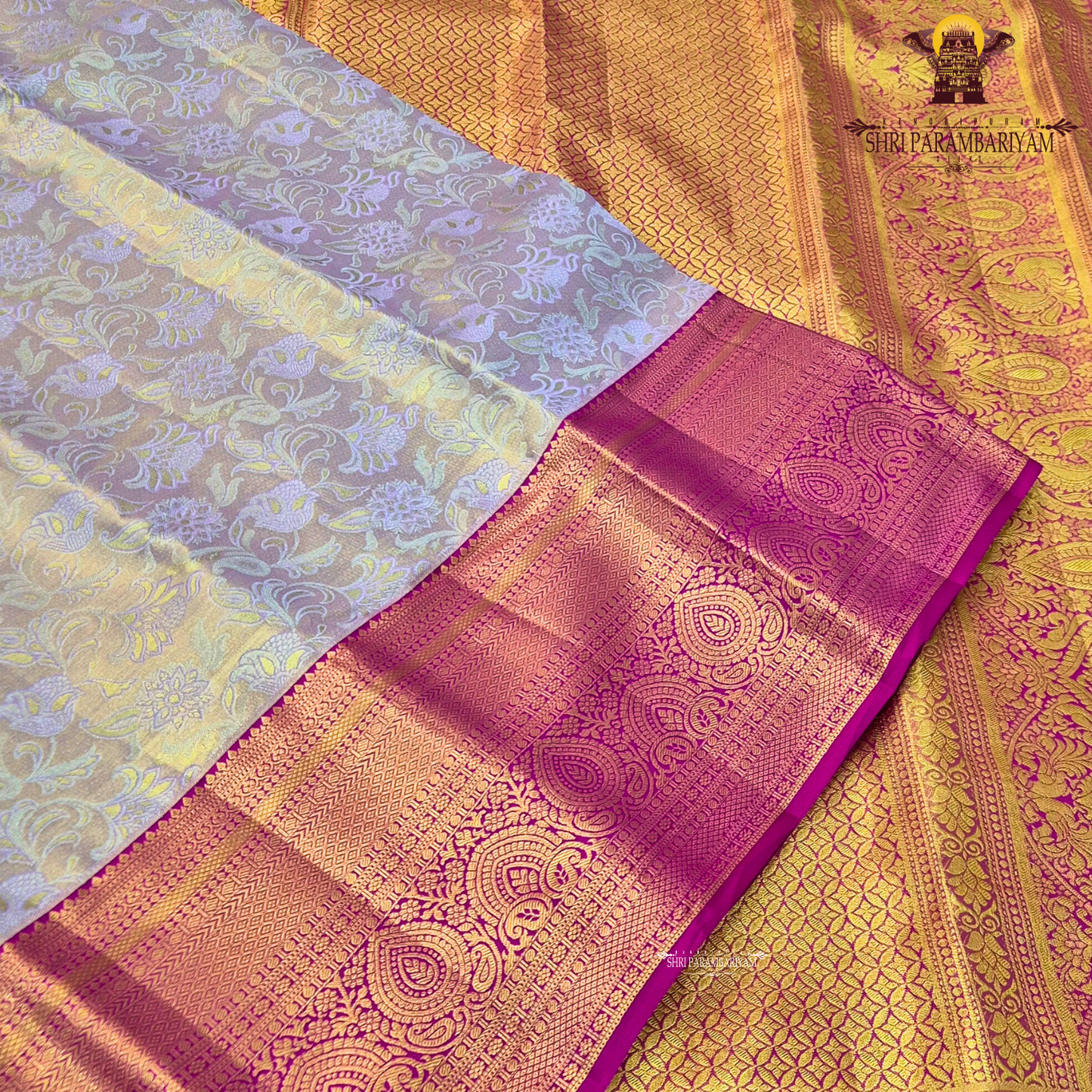Soft champagne beige with a hint of lavender sheen Saree