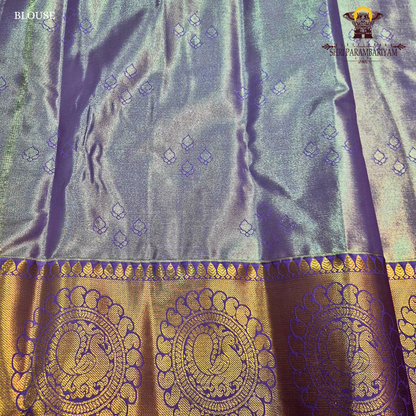 Warm rust orange Tissue Saree