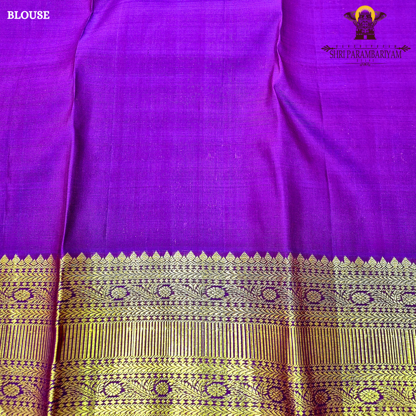 Rich rust orange (burnt orange) body with a contrasting Saree