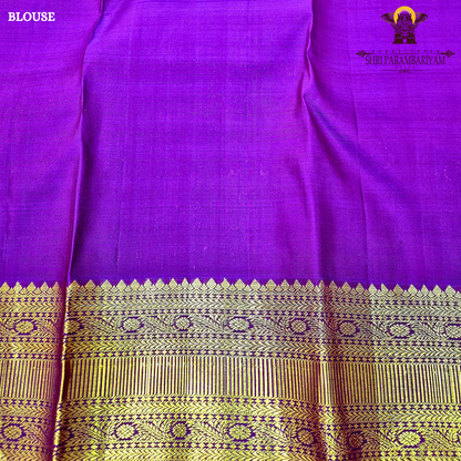Rich rust orange (burnt orange) body with a contrasting Saree