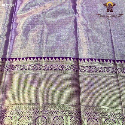 Elegant combination of mint green (aqua green) Saree