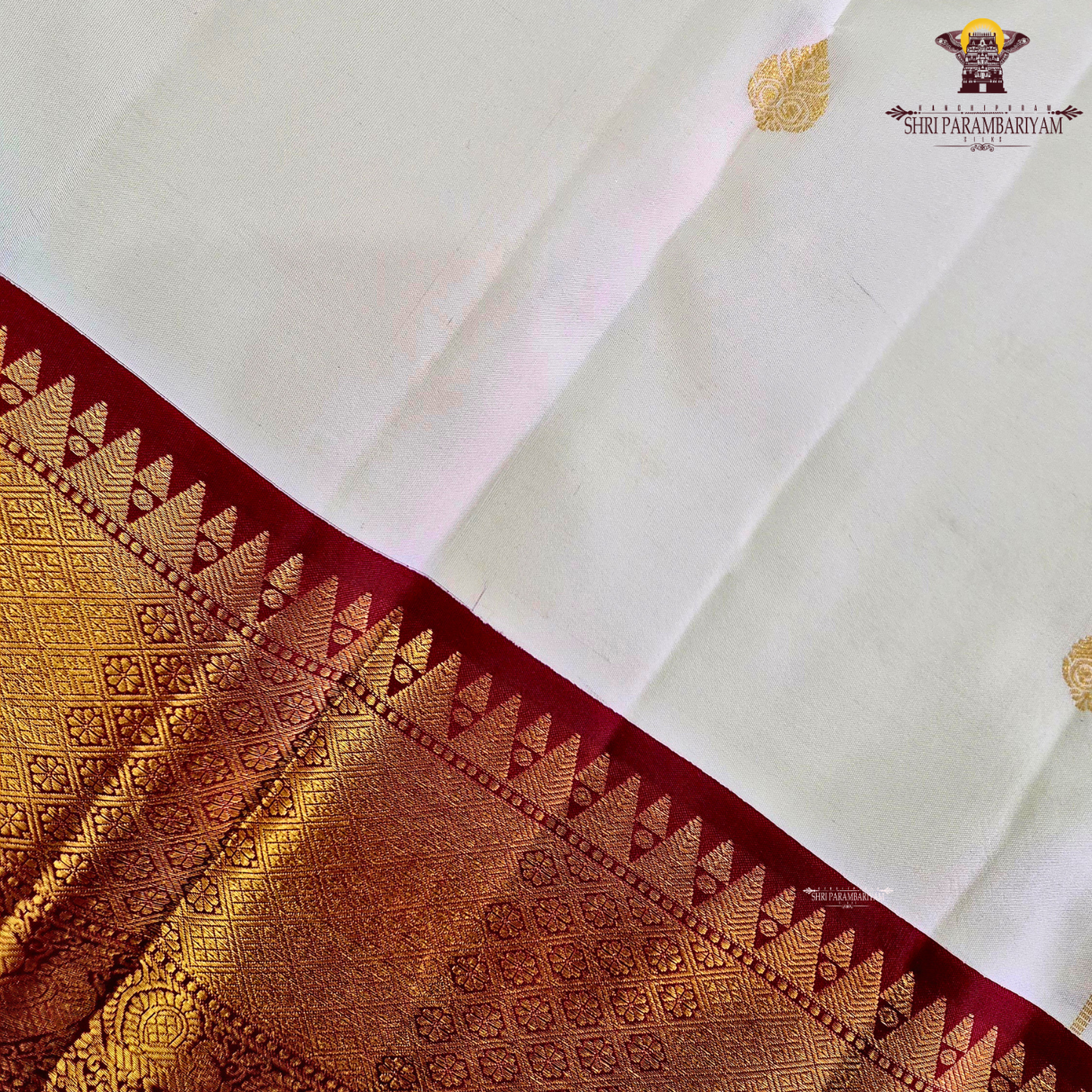 A pristine ivory white body adorned with delicate gold zari Saree