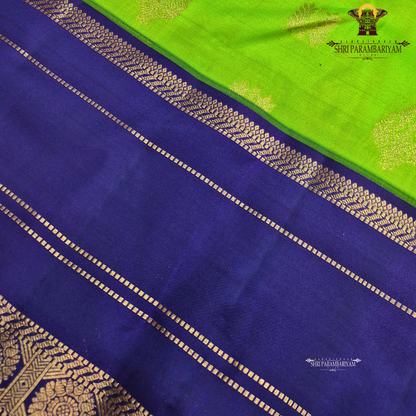 vibrant parrot green Saree