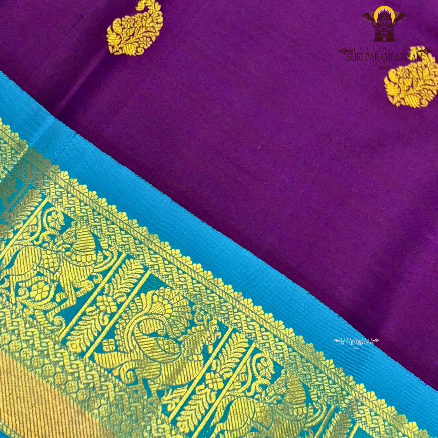 Rich Violet / Purple body with Sky Blue border Saree
