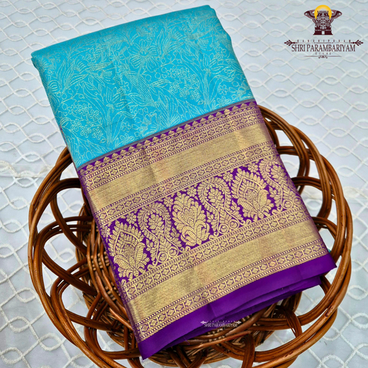 A Sky blue with a rich purple korvai border and gold zari Saree