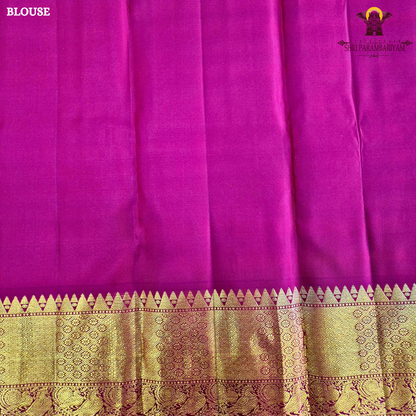 A pristine ivory white body adorned with delicate gold zari Saree