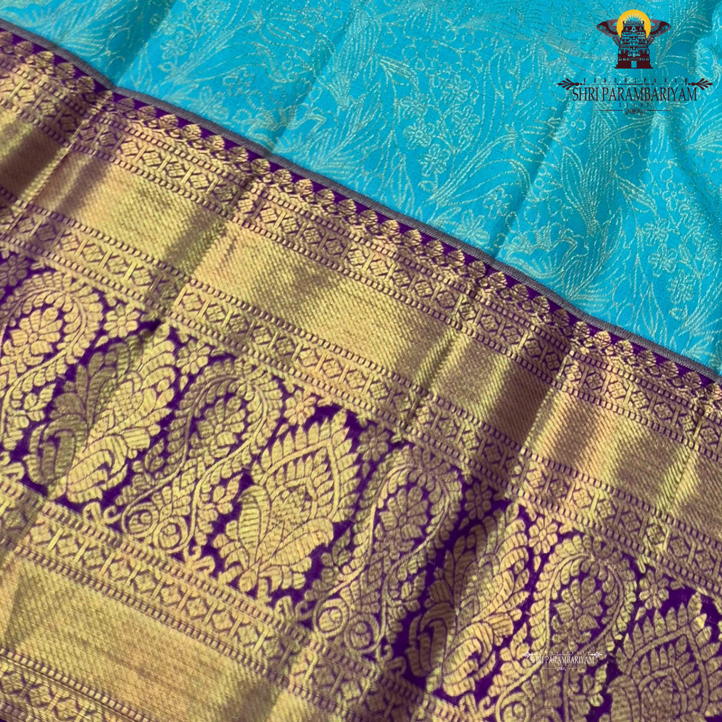 A Sky blue with a rich purple korvai border and gold zari Saree
