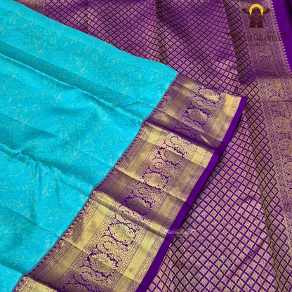 A Sky blue with a rich purple korvai border and gold zari Saree