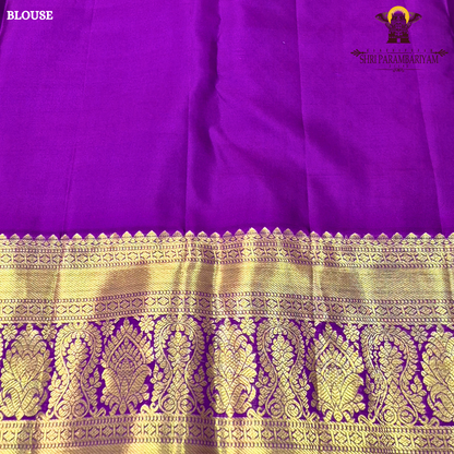A Sky blue with a rich purple korvai border and gold zari Saree