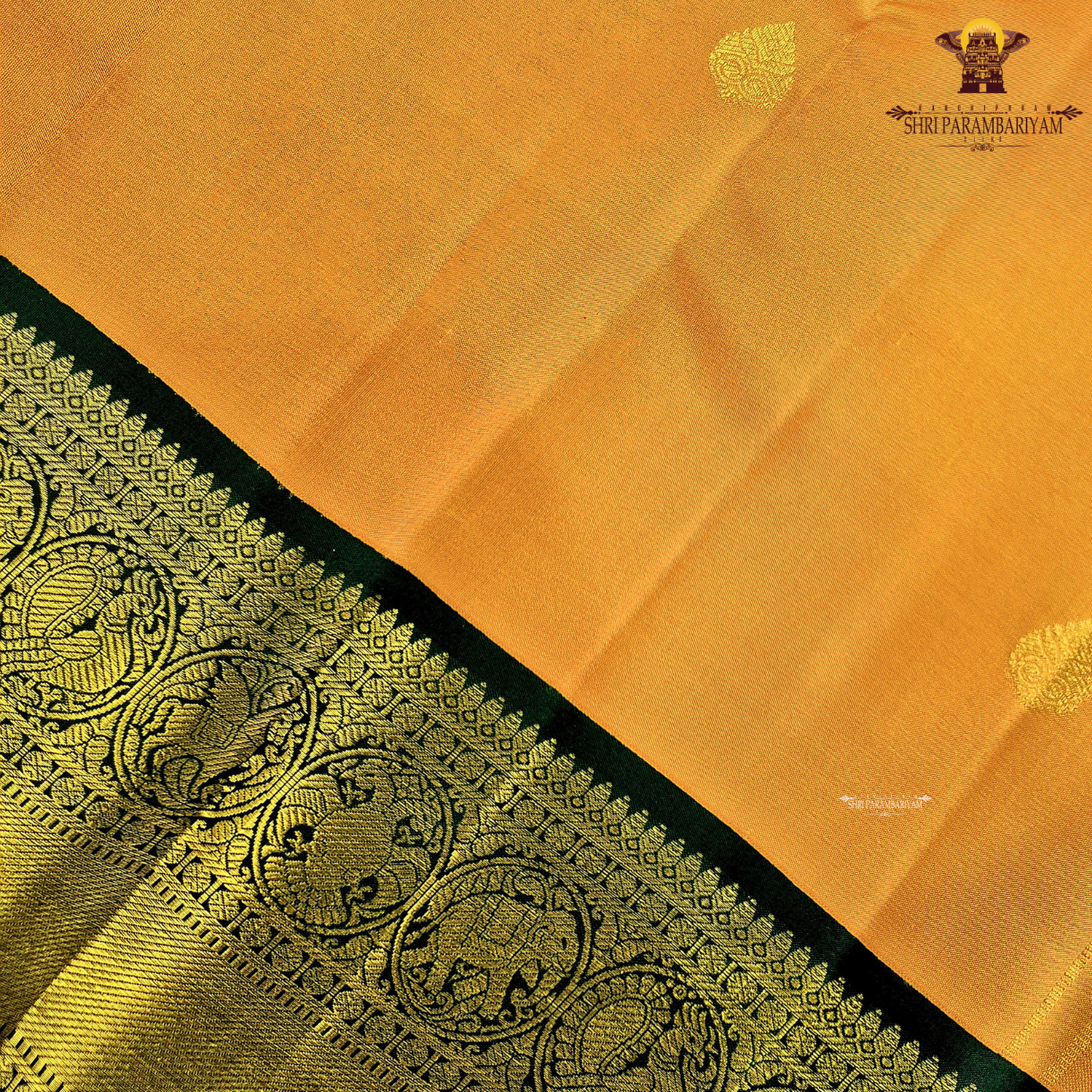 A vibrant mustard orange body highlighted with delicate zari buttas Saree